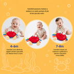 Crabby GO™- Il Granchietto Interattivo che insegna a gattonare giocando